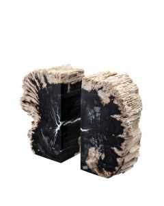 Opia Petrified Wood Bookend