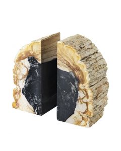 Opia Petrified Wood Bookend