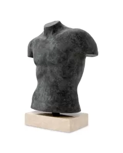 Torso Aristo