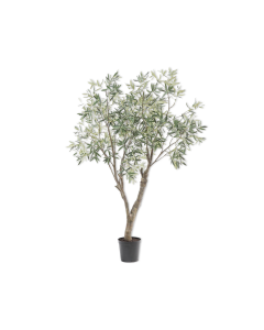 Olive Tree Green 198cm