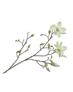 Magnolia Spray Light Green 103cm