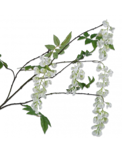 Wisteria Spray Cream 124cm