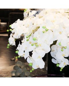 Orchid Stem White 79cm