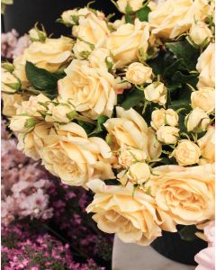 Rose Stem Yellow 55cm