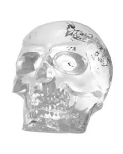 Philipp Plein Diamond Skull